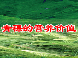 西藏青稞的優勢